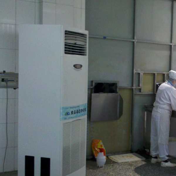 拉萨食品正负离子空气杀菌器